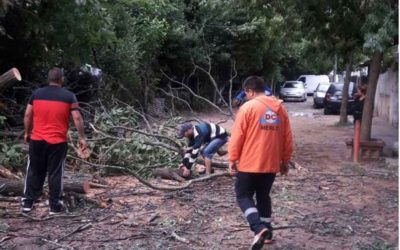 RÁPIDA ASISTENCIA TRAS EL TEMPORAL