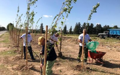 TRABAJOS DE LIMPIEZA Y FORESTACIÓN EN MERLO NORTE