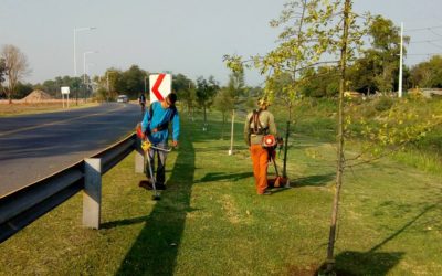 OBRAS Y SERVICIOS EN MERLO NORTE