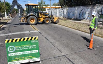 TAREAS DE MANTENIMIENTO EN MERLO