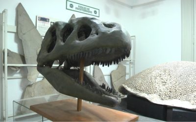 MUSEO INTERACTIVO DE CS NATURALES
