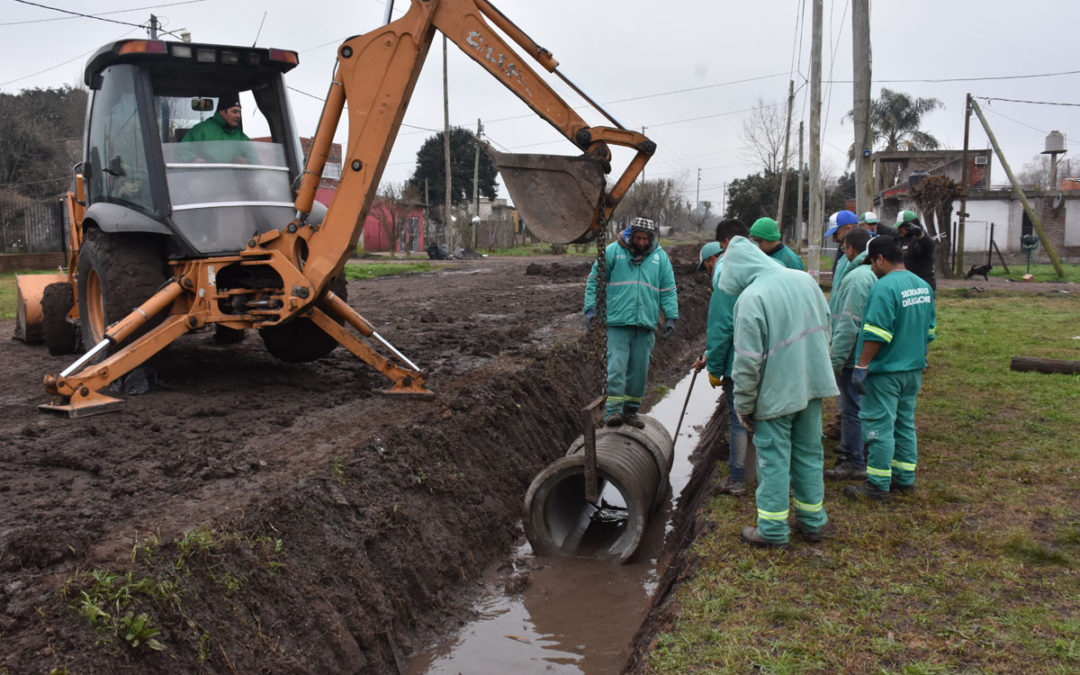 “MERLO LIMPIO” EN PONTEVEDRA