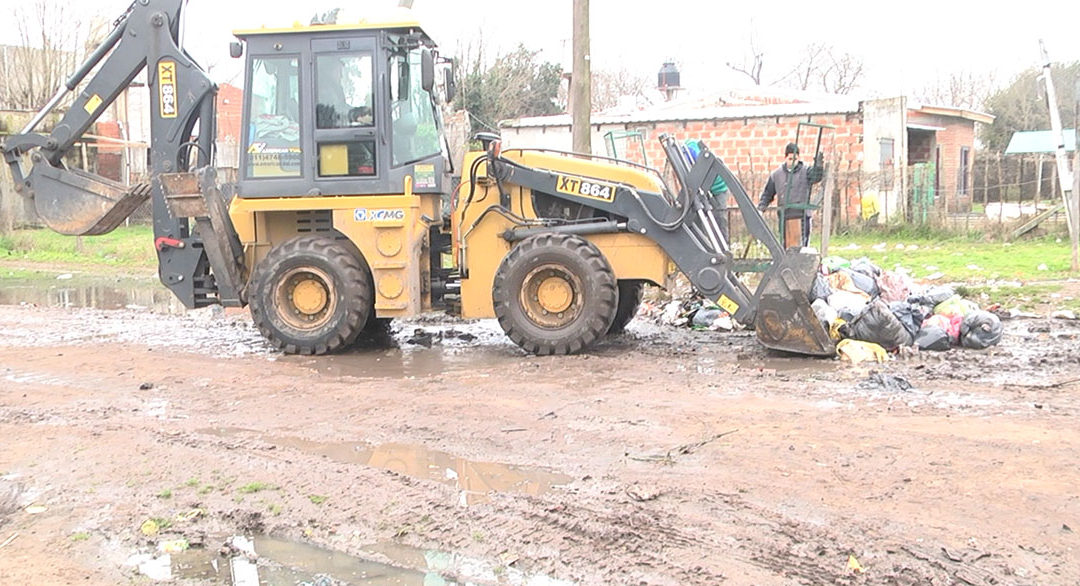 NUEVO OPERATIVO “MERLO LIMPIO” EN PONTEVEDRA