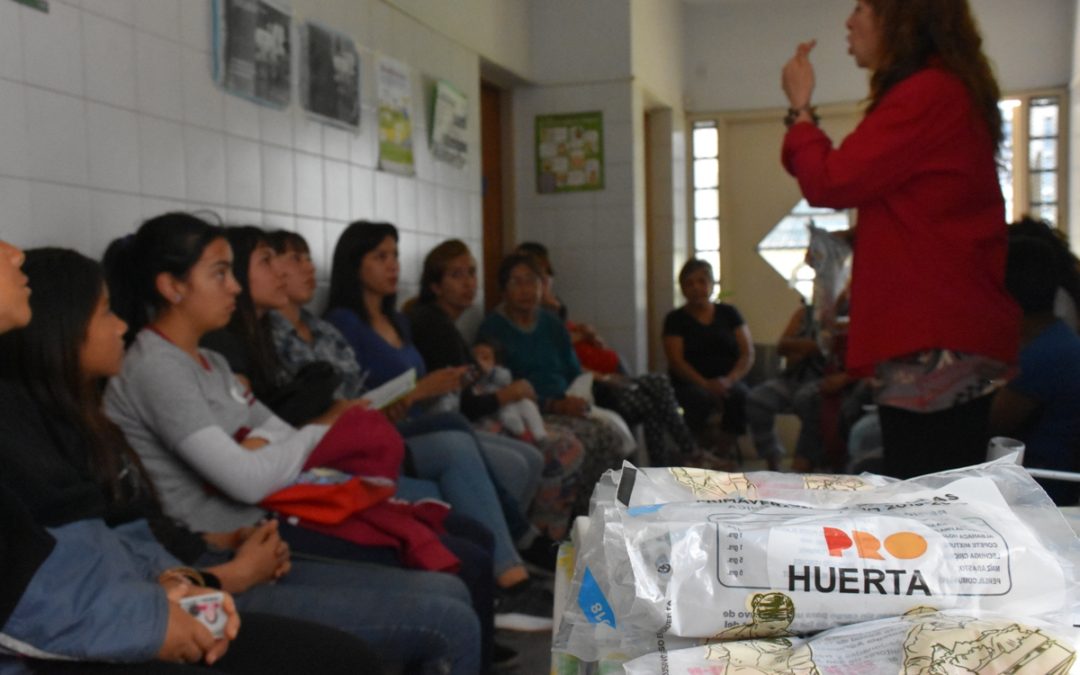 TALLER PRO HUERTA EN LOMA GRANDE