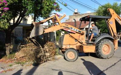 OPERATIVO DE LIMPIEZA EN PARQUE SAN MARTÍN