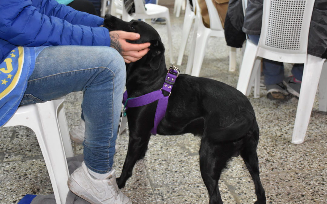 CASTRACIONES SANITARIAS GRATUITAS EN PARQUE SAN MARTÍN