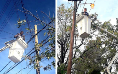 INSTALACIÓN Y REPOSICIÓN DE LUMINARIA