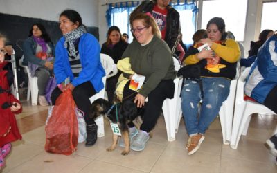 CASTRACIONES EN RÍO ALEGRE