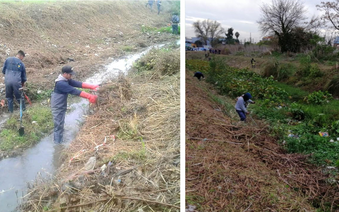LIMPIEZA INTEGRAL DE ARROYOS