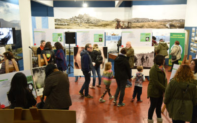 SEGUNDO ENCUENTRO DE ARTE Y DERECHOS HUMANOS