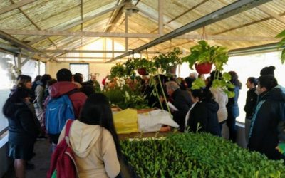 TALLER DE HUERTA SANA EN MERLO