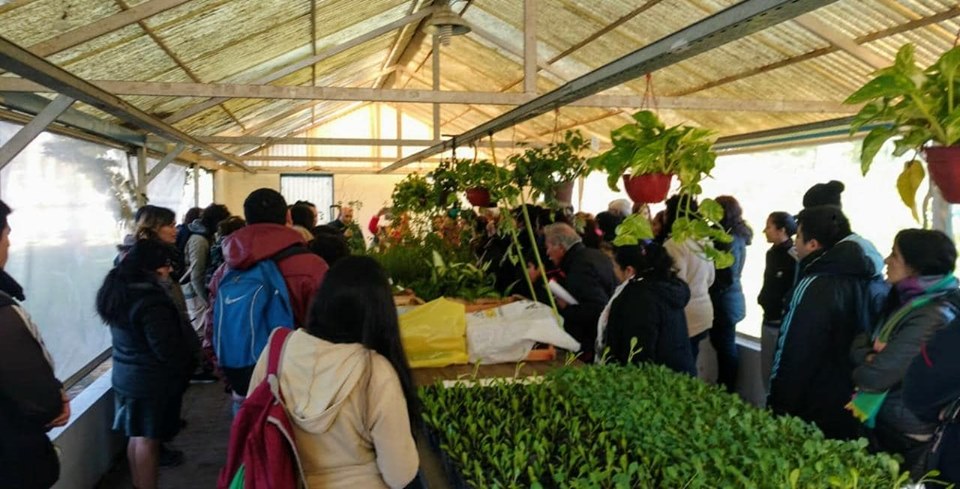 TALLER DE HUERTA SANA EN MERLO