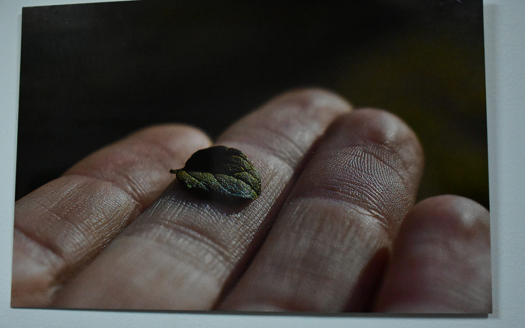 MUESTRA FOTOGRÁFICA “ORÍGENES”