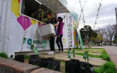 ENTREGA GRATUITA DE ARBOLES
