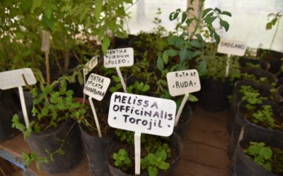 FINALIZÓ EL CURSO DE HUERTA SANA EN LA ECOGRANJA