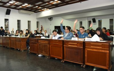 PRIMERA SESIÓN DEL PARLAMENTO JOVEN 2019