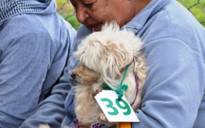 CONTINÚA LA CAMPAÑA DE CASTRACIÓN ANIMAL