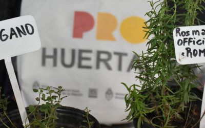 TALLER DE HUERTA SANA Y ENTREGA DE SEMILLAS