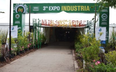 SE INAUGURÓ LA EXPO INDUSTRIA “HECHO EN MERLO”