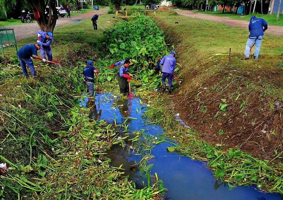 TAREAS DE LIMPIEZA INTEGRAL