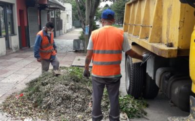 SERVICIOS ESENCIALES DE LIMPIEZA URBANA