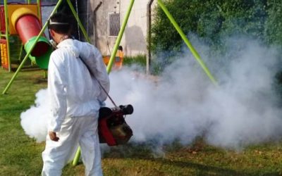 FUMIGACIONES EN TODO EL DISTRITO