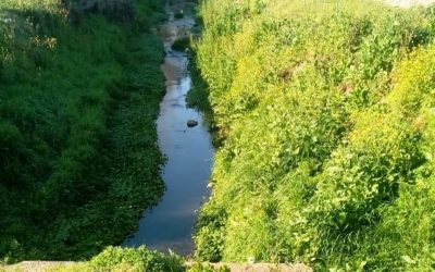 LIMPIEZA DE ARROYOS EN MERLO