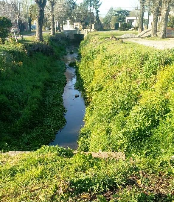 LIMPIEZA DE ARROYOS EN MERLO