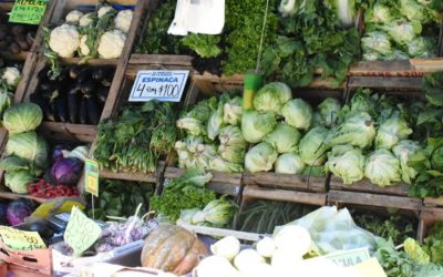 MERCADO BONAERENSE EN MERLO