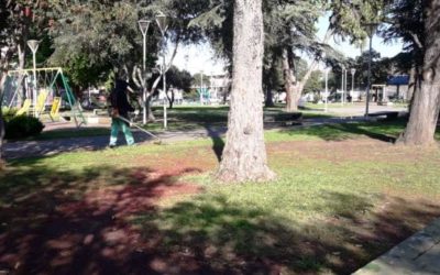 MANTENIMIENTO DE ESPACIOS PÚBLICOS