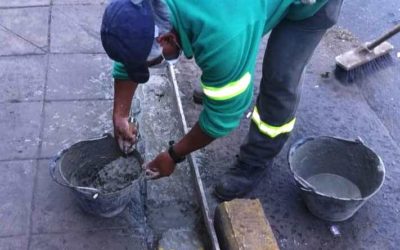 TAREAS DE MANTENIMIENTO Y EMBELLECIMIENTO EN MERLO