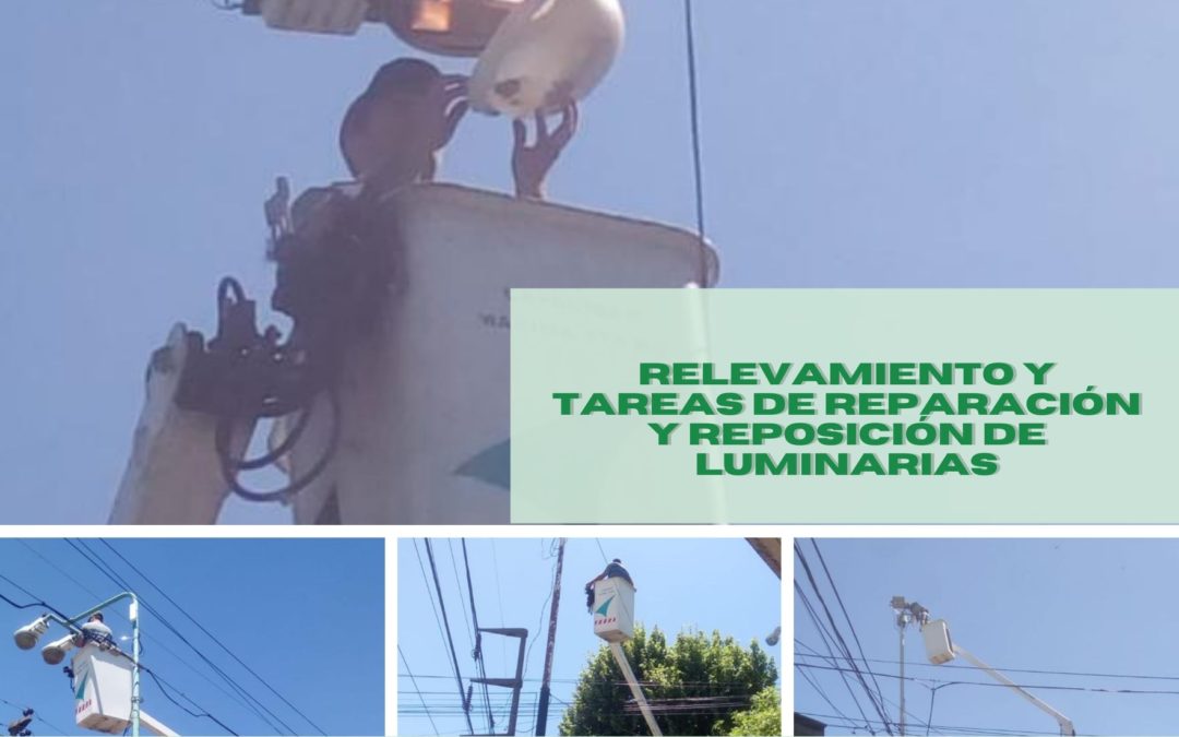 REPARACIÓN Y REPOSICIÓN DE LUMINARIAS