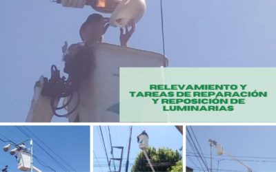 REPARACIÓN Y REPOSICIÓN DE LUMINARIAS