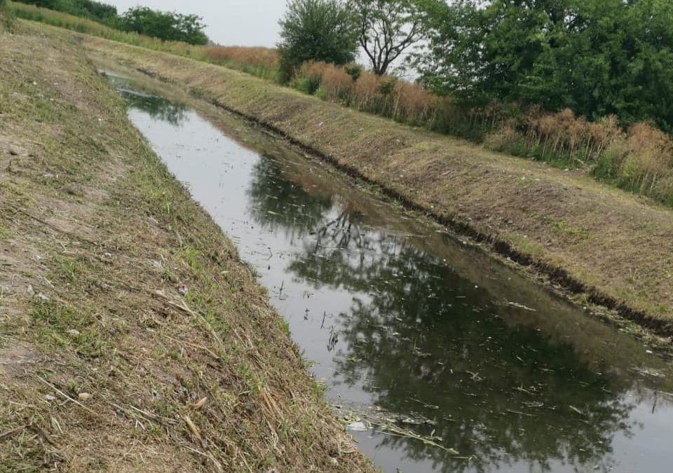 LIMPIEZA DEL ARROYO TORRES