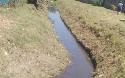 LIMPIEZA DEL ARROYO GRANADEROS