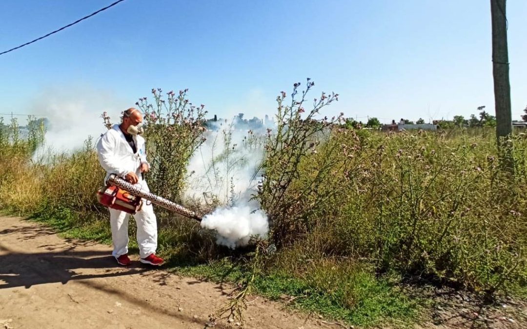 TAREAS DE FUMIGACIÓN EN EL DISTRITO