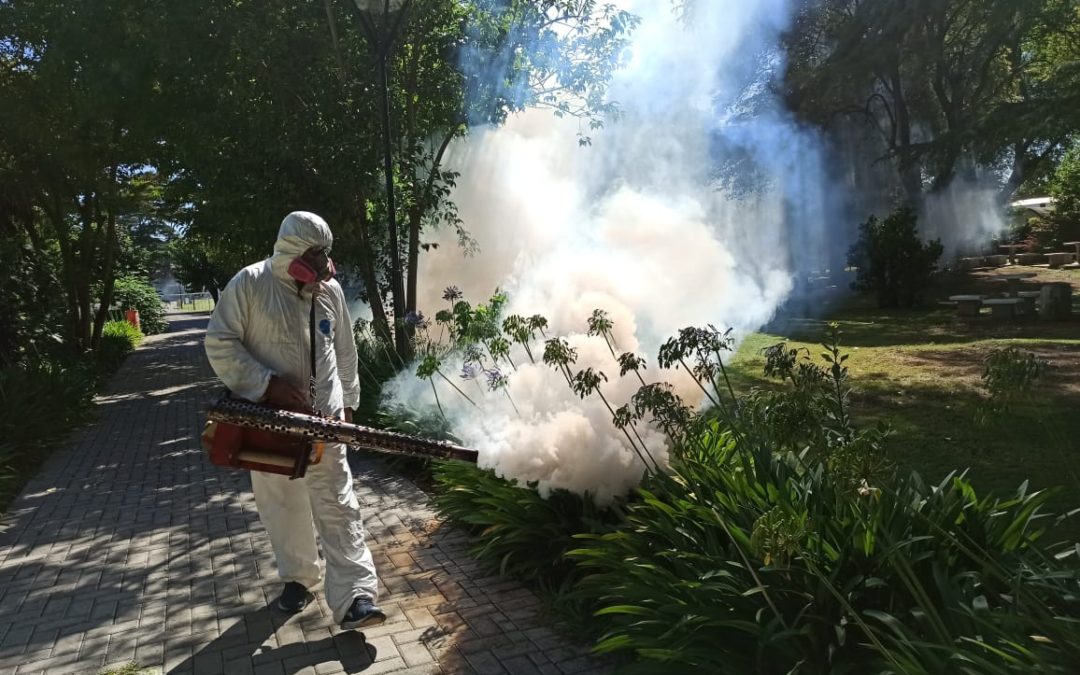 TAREAS DE FUMIGACIÓN EN MERLO