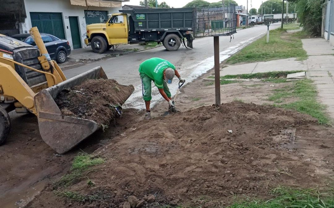 TAREAS DE DELEGACIONES