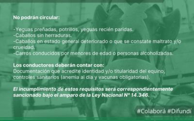 EN MERLO BUSCAMOS LA ELIMINACIÓN DE LA TRACCIÓN EQUINA