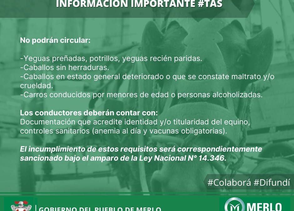 EN MERLO BUSCAMOS LA ELIMINACIÓN DE LA TRACCIÓN EQUINA