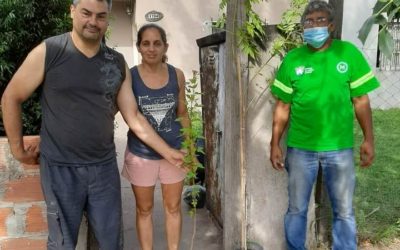 ENTREGA GRATUITA DE ÁRBOLES