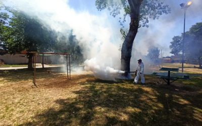 FUMIGACIÓN EN LOS BARRIOS DE MERLO