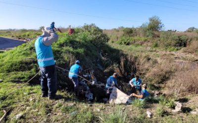 SANEAMIENTO EN LOS ARROYOS “LAS VÍBORAS” Y “EL TRÉBOL”