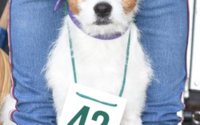 NUEVA JORNADA DE CASTRACIONES GRATIUTAS