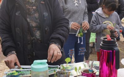 JORNADA DE CONCIENCIA AMBIENTAL