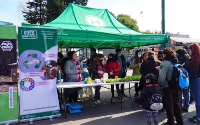 SEMANA DEL MEDIO AMBIENTE