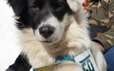 JORNADA DE CASTRACIONES EN EL BARRIO EL CEIBO