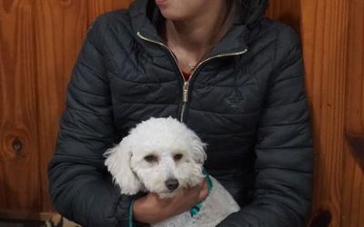 CASTRACIONES GRATUITAS EN EL BARRIO POMPEYA