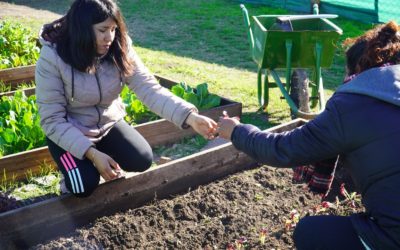 LA “HUERTA VECINAL” DE PONTEVEDRA