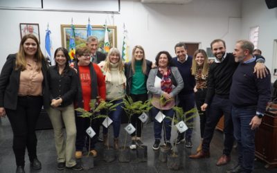 NUEVA SESIÓN DEL HCD